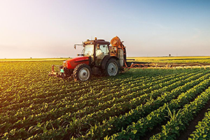 agri-industry